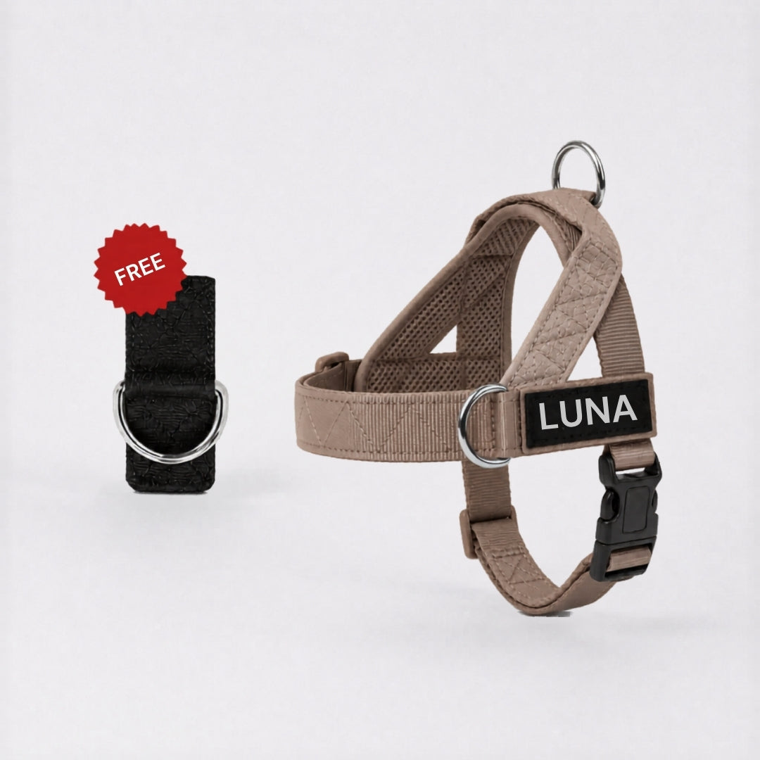 No-Pull Dog Harness + FREE D-Ring