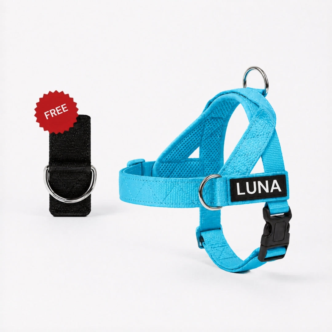 No-Pull Dog Harness + FREE D-Ring