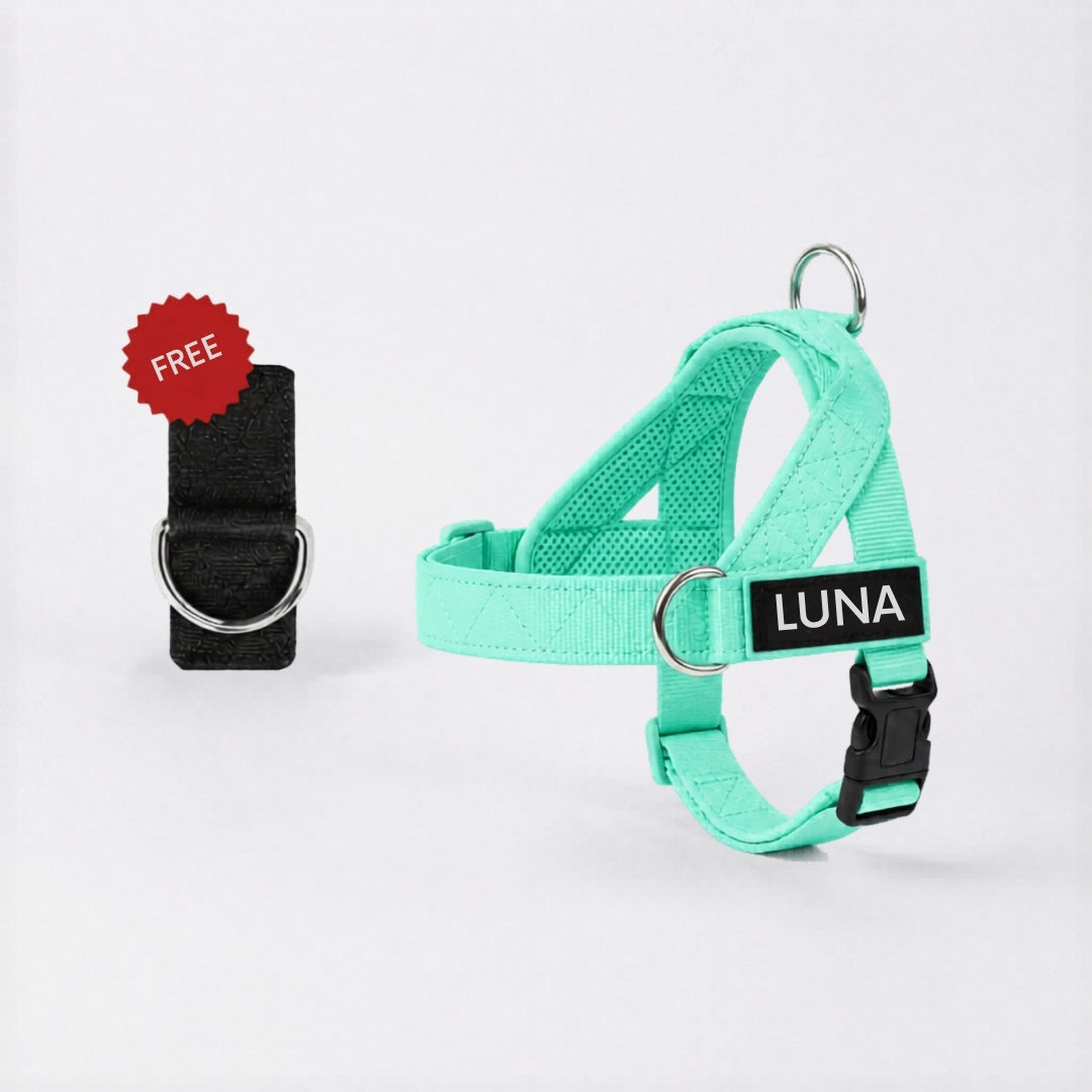 No-Pull Dog Harness + FREE D-Ring