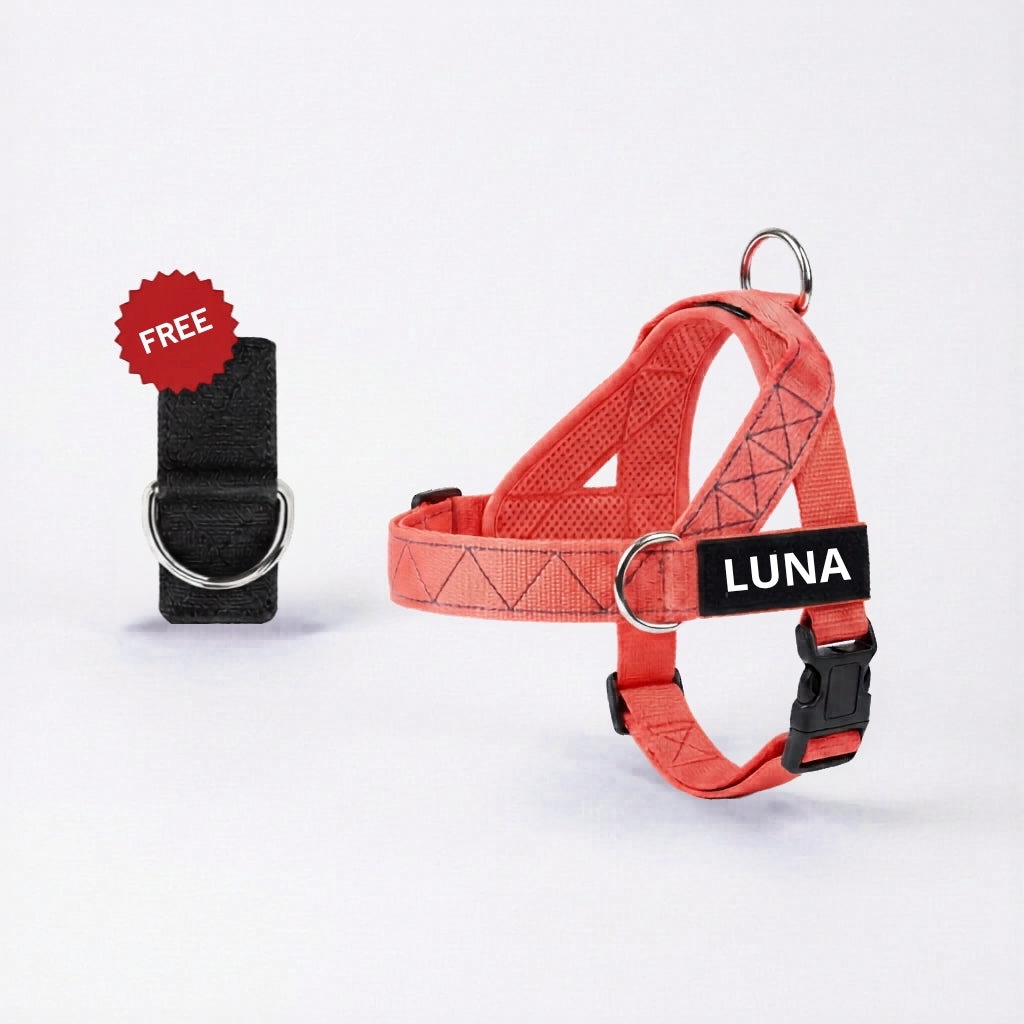 No-Pull Dog Harness + FREE D-Ring