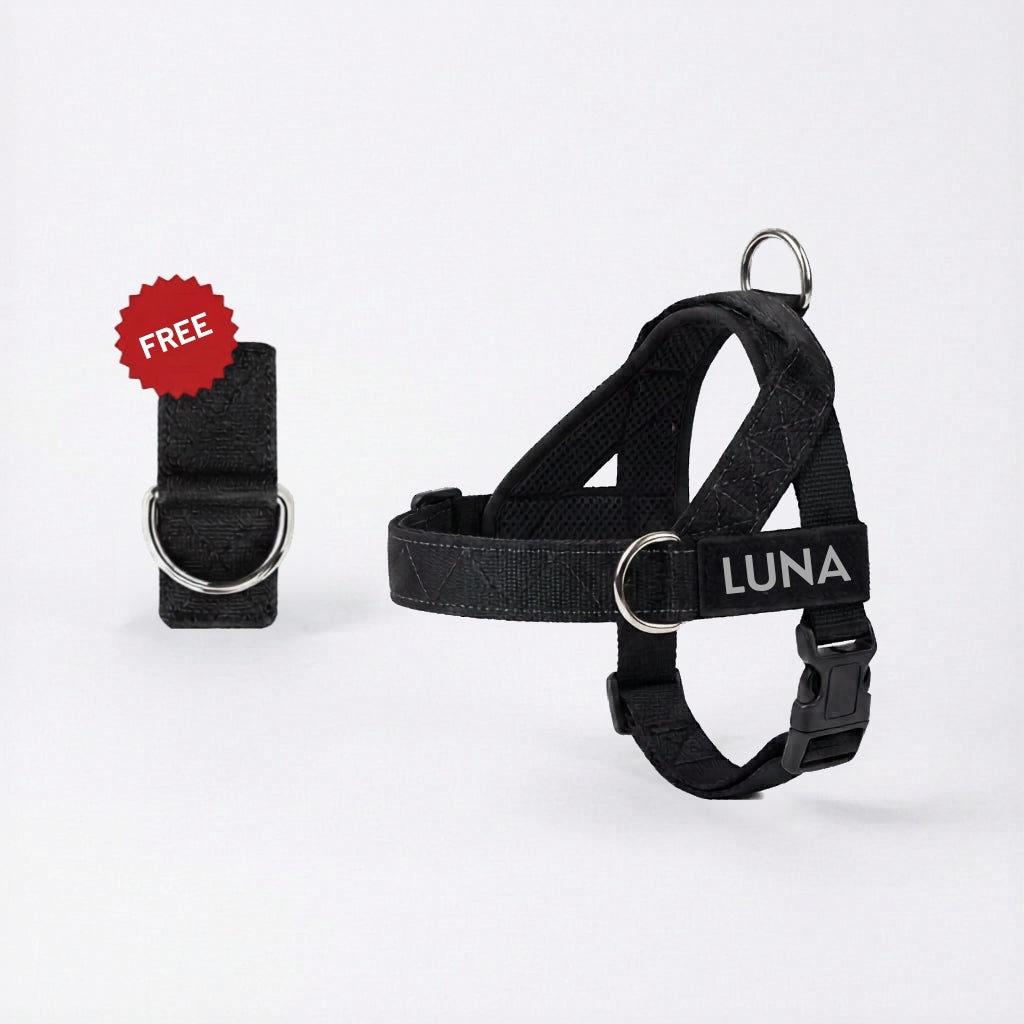 No-Pull Dog Harness + FREE D-Ring