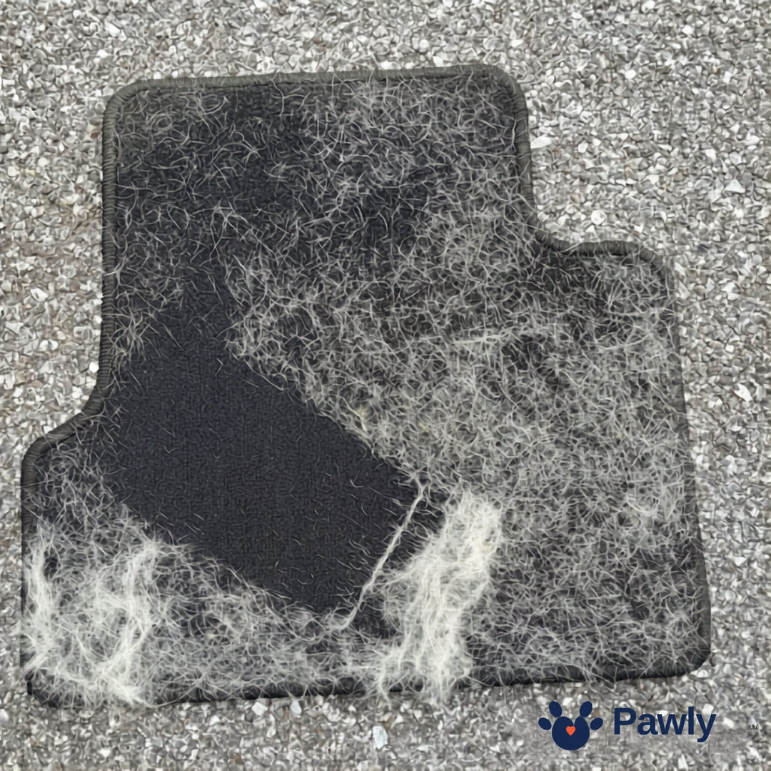 Grooming Glove — Deshedding Mitt